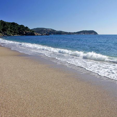 A Deux Pas De La Plage De Sable Le Pradet Buitenkant foto