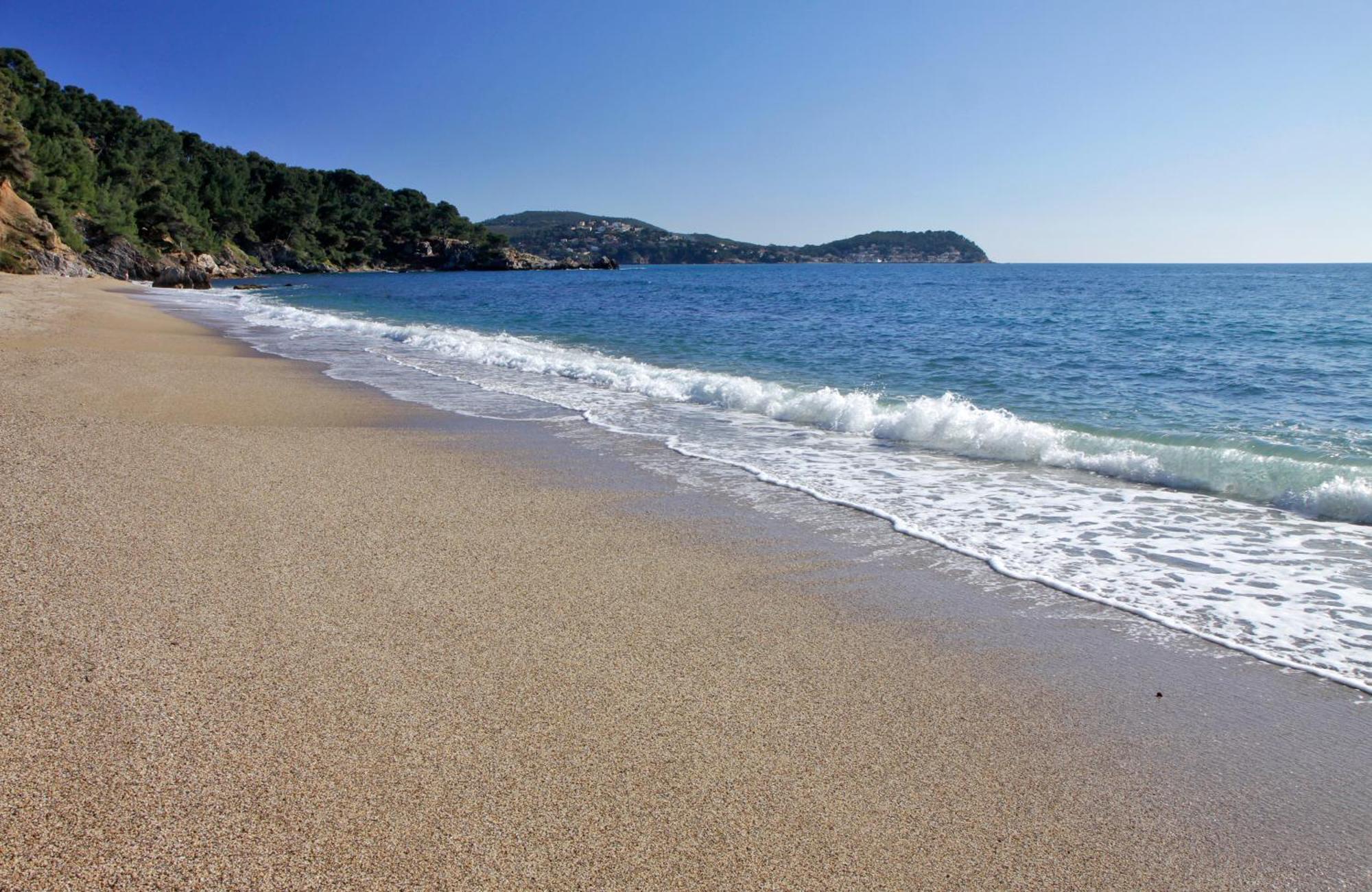 A Deux Pas De La Plage De Sable Le Pradet Buitenkant foto